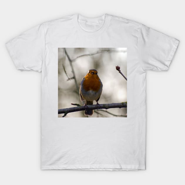 Robin Singing T-Shirt by Nigdaw